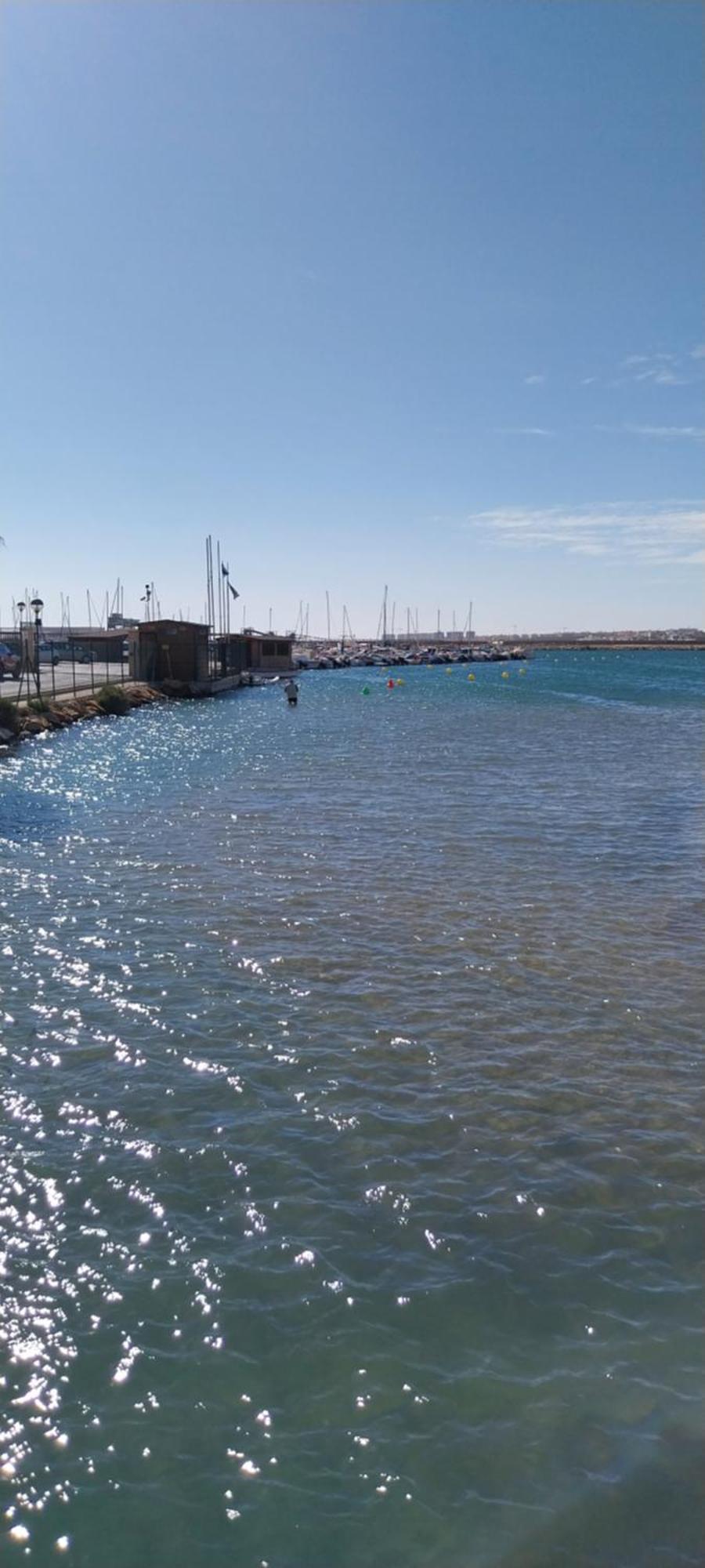 Luxury Apartment With Sea View Puerto Torrevieja Eksteriør billede