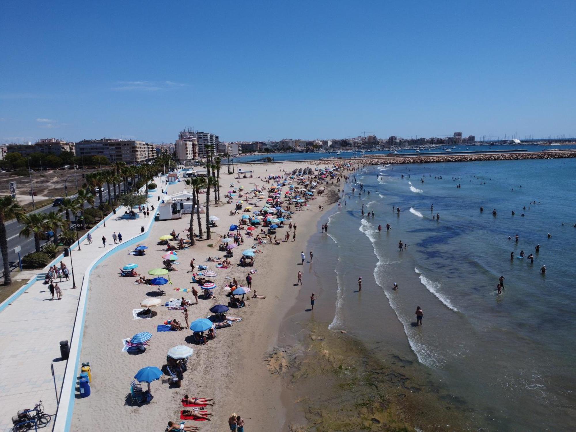 Luxury Apartment With Sea View Puerto Torrevieja Eksteriør billede